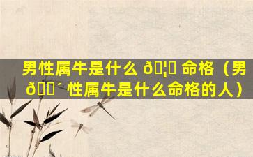 男性属牛是什么 🦋 命格（男 🐴 性属牛是什么命格的人）